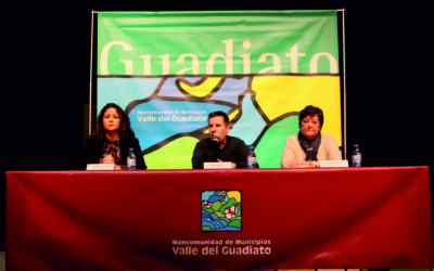 DÍA INTERNACIONAL CONTRA LA VIOLENCIA DE GÉNERO EN EL GUADIATO 2019