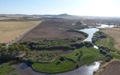 ¿NOS DAS TU OPINIÓN SOBRE EL TURISMO DEL GUADIATO?