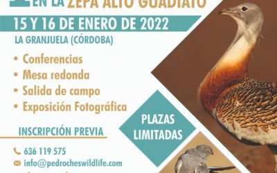 1ª JORNADAS SOBRE AVES ESTEPARIAS EN LA ZEPA ALTO GUADIATO